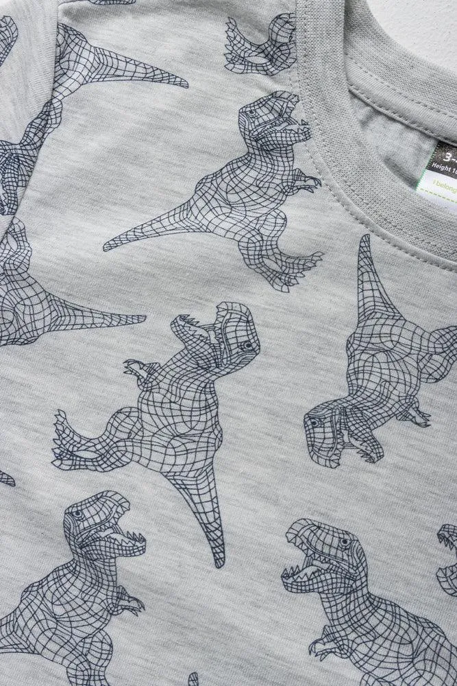 2 Pack Dinosaur Short Sleeve T-Shirts Grey & Green