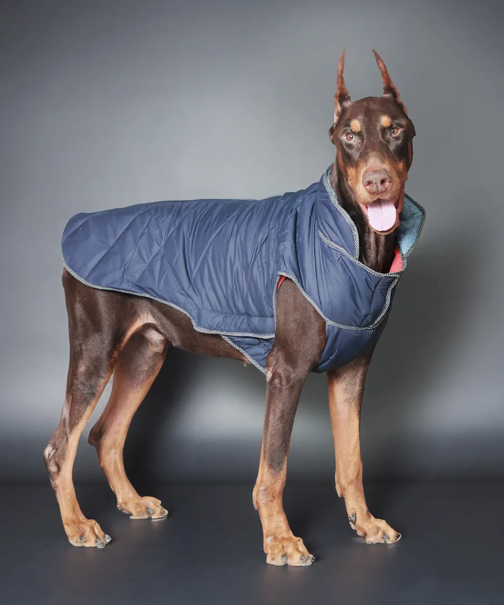 Dog Jacket-Pink