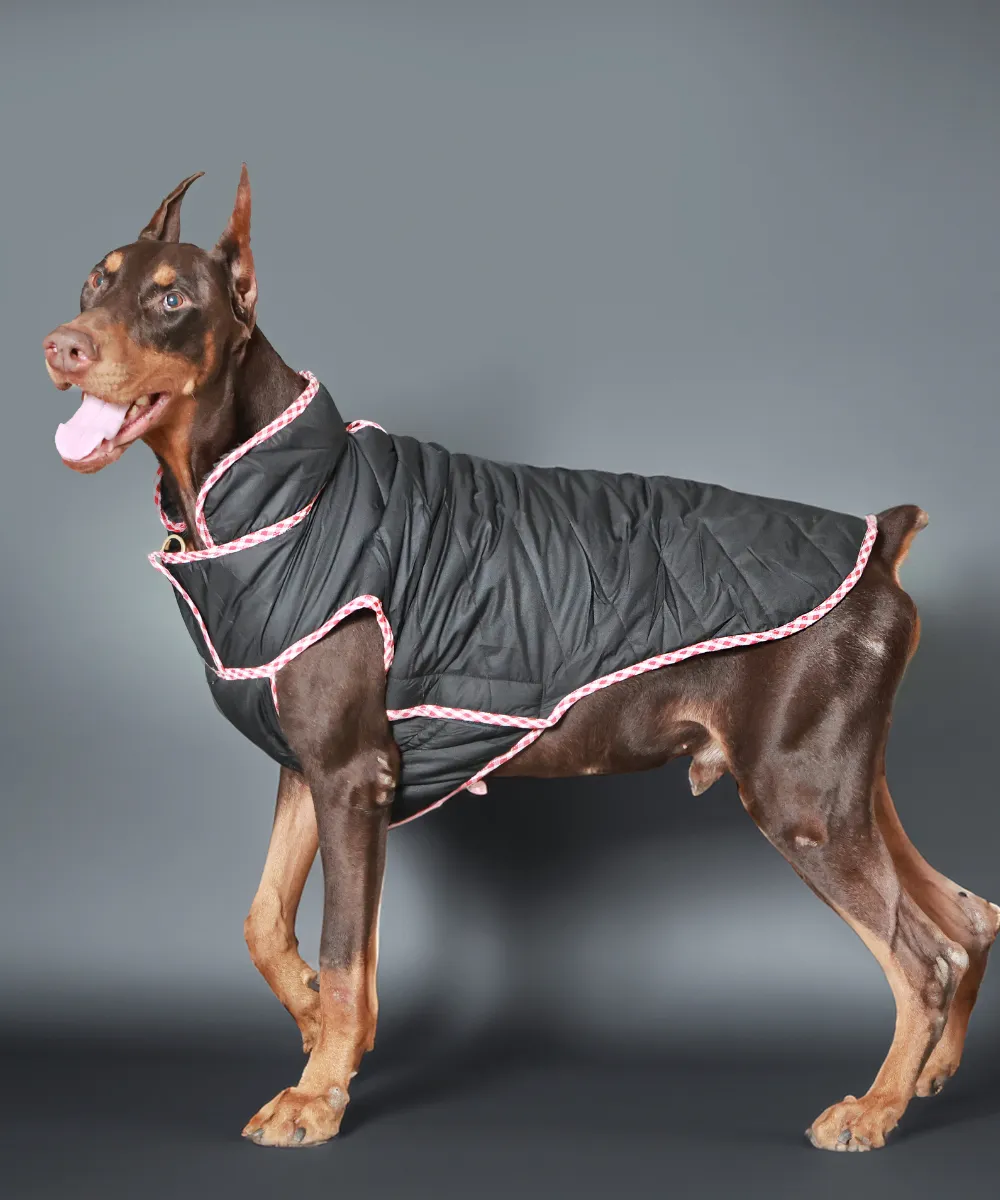 Dog Jacket-Pink