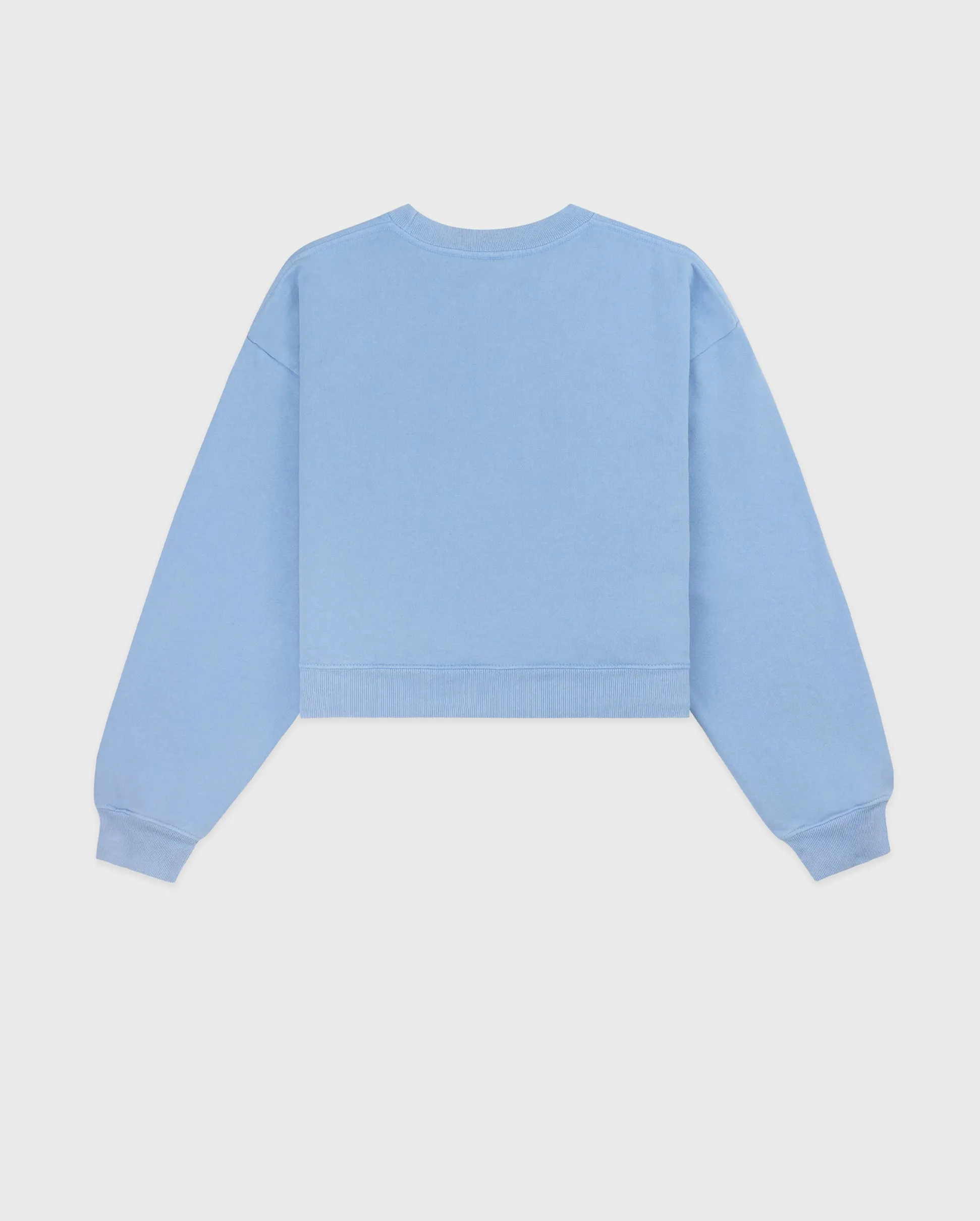 WELLNESS STUDIO CROPPED CREWNECK / SKY BLUE WHITE